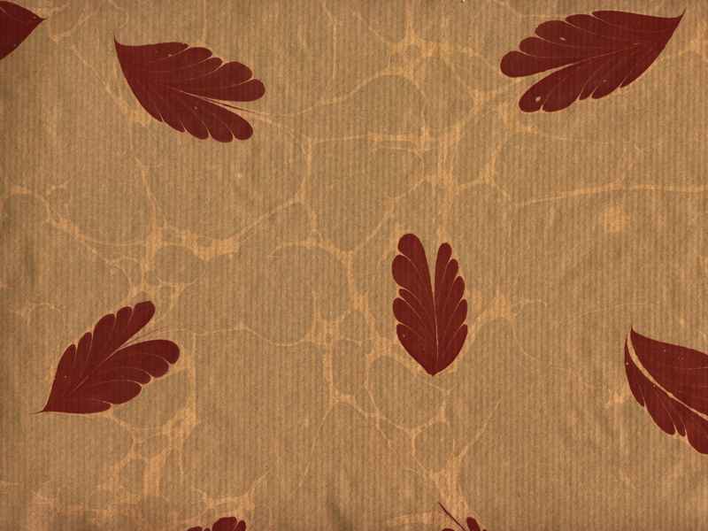 Ebru 05