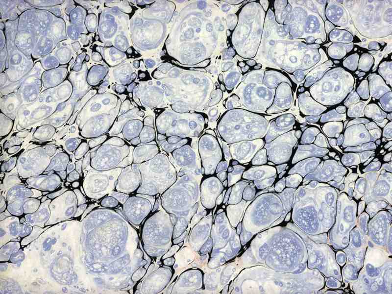 Ebru 08